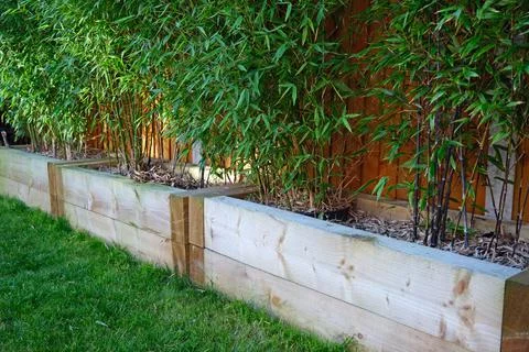 Raised vegetable, flower bed, made with Railway sleepers. Bamboo screening Stock Photos