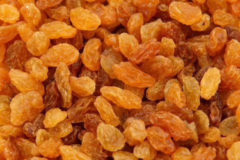 Raisin  Stock Photos