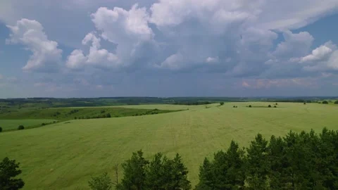 Raising the camera above the treetops opens up views of endless green Stock Footage 197016843