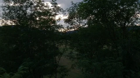 Raising drone. 스톡 동영상 93142757