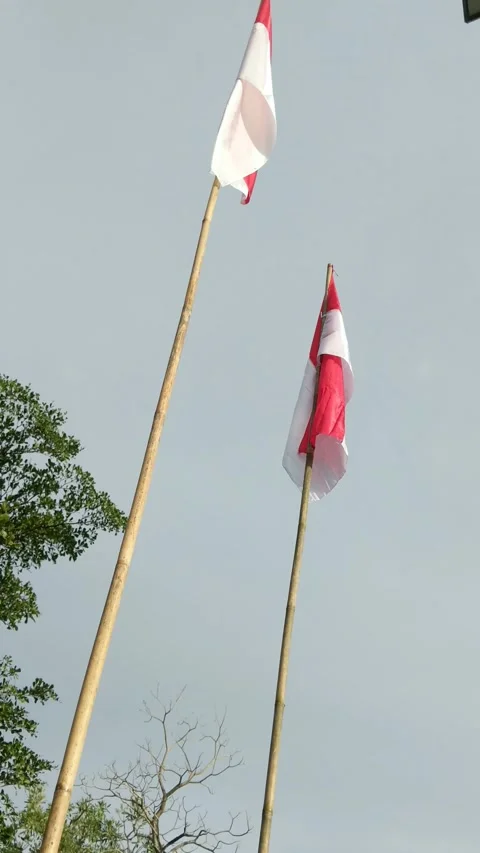 Raising the red and white flag installed Stock Footage 282106700