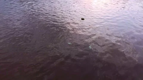 Raising view of Krishna river in evening time,Sunset sky-sun reflection on water Stock Footage 138326188
