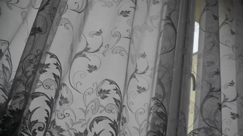 Raising the Window Shades Stock Footage 47711880