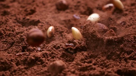 Raisins, almonds and hazelnuts fall into cocoa powder - slow motion Stock Footage 104464056