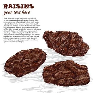 Raisins Stock Illustration