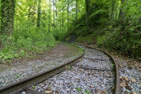 Raislway track in forest Stock Photos