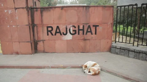 Raj Ghat Wall Stock Footage 40244463