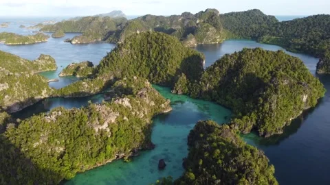 Raja Ampat Island Vidéo 240458431