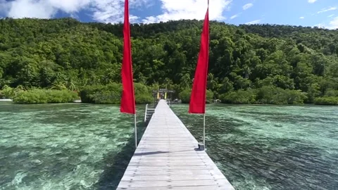 RAJA AMPAT TRACK IN SHOT 動画素材 139765239