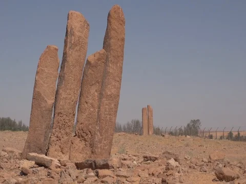 Rajajil columns. Stock Footage 112786447