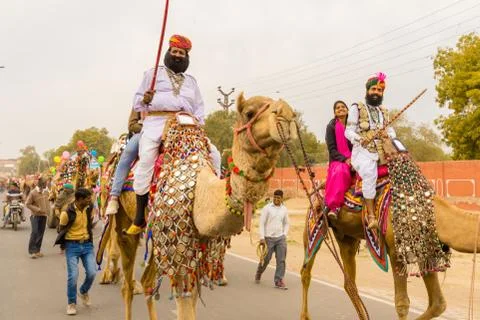 Rajasthani man on a camel Stock Photos