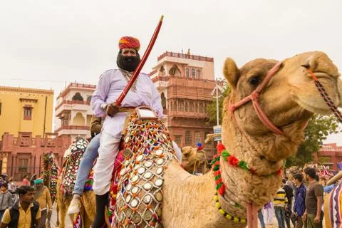 Rajasthani man on a camel Stock Photos