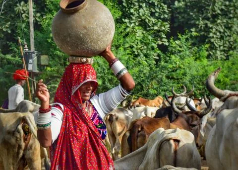 Rajasthani Stock Photos