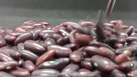 Rajma kidney bean Falling Down in Black Background. Stock Footage 303747208