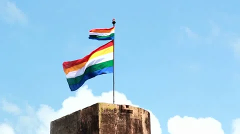 Rajput Flag Flying Stock Footage 21454394