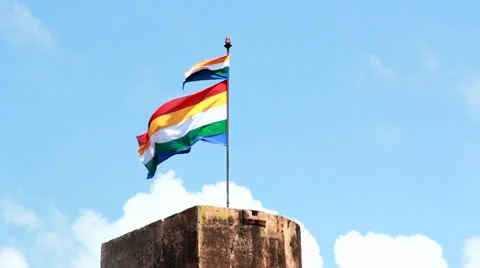 Rajput Flags Stock Footage 24836747