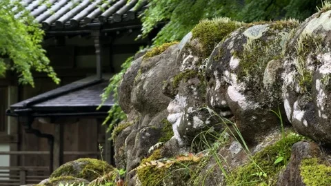 Rakan disciples of Buddha stone statues moss covered at Otagi Nenbutsu-ji 動画素材 346611066