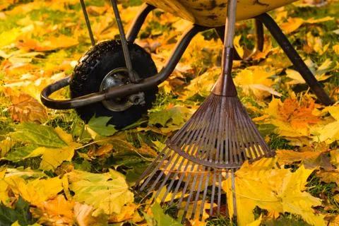Rake and wheelbarrow Stock-Fotos