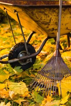 Rake and wheelbarrow Фото