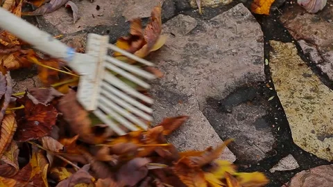 Rake autumn leaf stone background hd footage Stock Footage 117980368