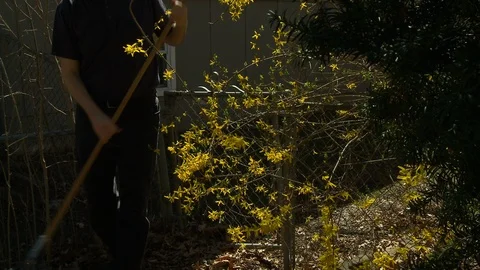 Rake garden enter gate Stock Footage 113488041