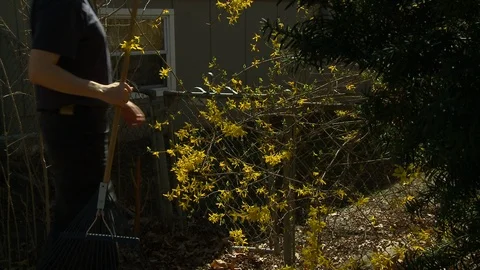 Rake garden exit gate Stock-Footage 113488064