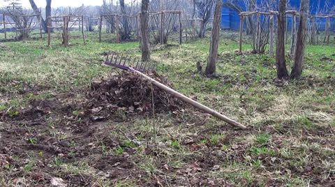 Rake in garden Stock-Footage 23091636