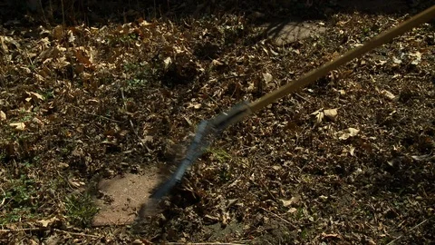 Rake garden path spring Stock Footage 113488050