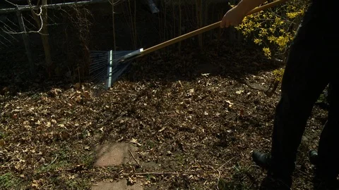 Rake garden path in spring Stock Footage 113488063