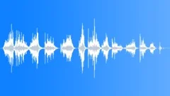 RAKE, GARDEN Sound Effect