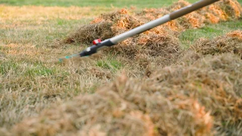 Rake gathering dry dead grass into piles on lawn close-up in spring 库存影片 340389115