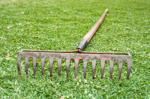Rake in grass Stock Photos