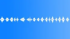 Rake on GravelSound Effect