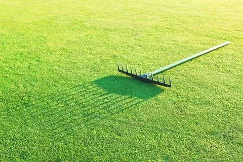 Rake on the green grass for golf. Stock Photos