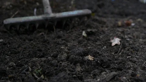 Rake on the ground Stock Footage 75395864