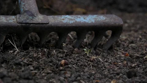 Rake on the ground slow Stock Footage 75396102