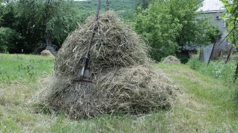 Rake by the haystack in the village garden Stock Photos