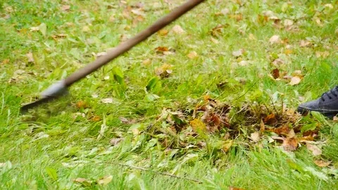 Rake leaves are removed Stock Footage 80706302