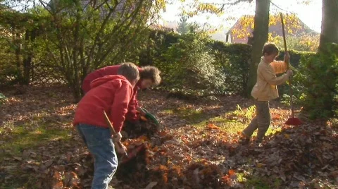 Rake leaves Stock Footage 512449