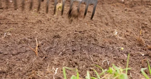 Rake leveling fertile soil for seeding Stock Footage 332738935