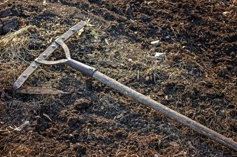 Rake Lying On The Ground In The Evening At Sunset. Stock Photos