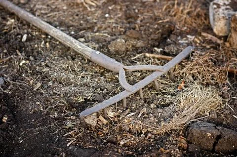 Rake Lying On The Ground In The Evening At Sunset. Stock Photos