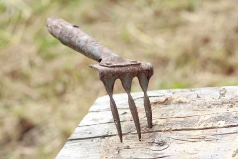 Rake the old stick of timber Stock Photos