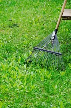 Rake Stock Photos