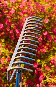 The Rake Stock Photos