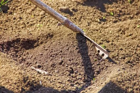 Rake rake to clean up the soil, cleaning in the garden and in the fields, in  Stock Photos