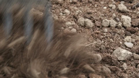 Rake. Soil Raking.Close up. Stock Footage 91635537
