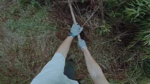 Rake work in the first person, weed the grass with a rake Stock Footage 311375817