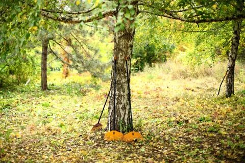 Rakes Stock Photos