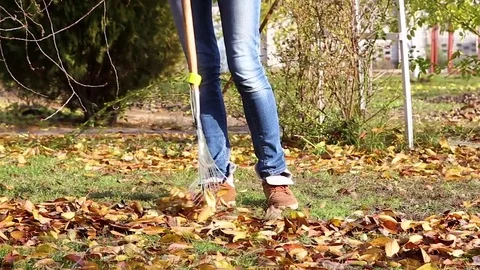 Raking autumn leaves Stock Footage 80908074